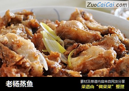 老杨蒸鱼