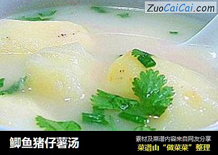 鲫鱼猪仔薯汤