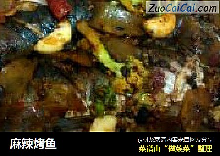 麻辣烤鱼