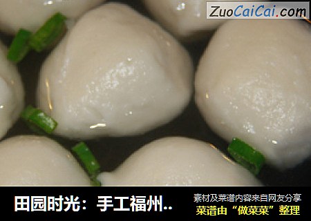 田园时光：手工福州鱼丸