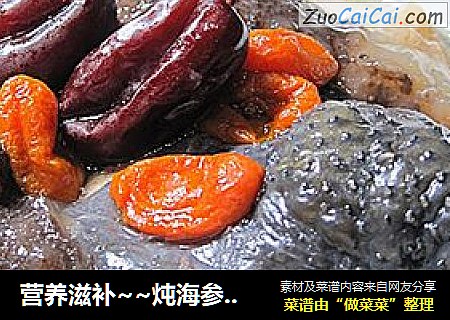 营养滋补~~炖海参竹丝鸡