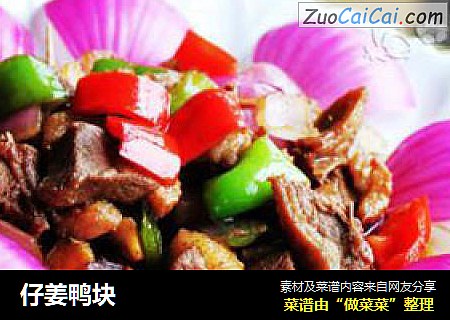 仔姜鸭块