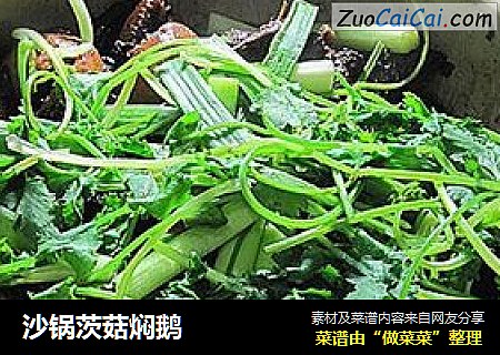 沙锅茨菇焖鹅
