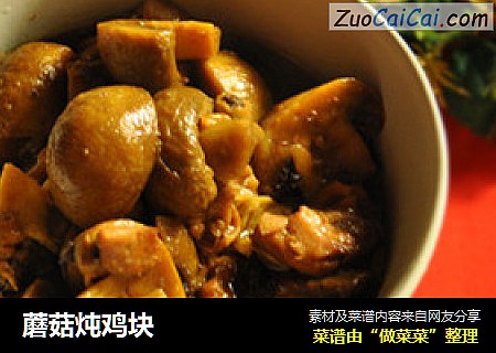蘑菇炖鸡块