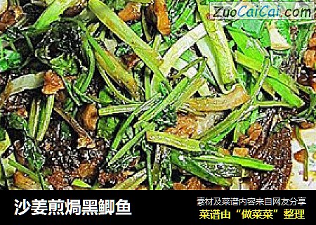 沙姜煎焗黑鲫鱼
