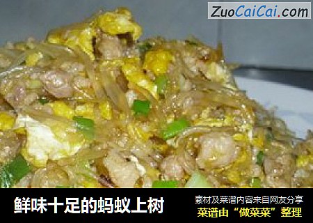 鲜味十足的蚂蚁上树