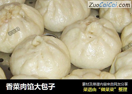香菜肉馅大包子
