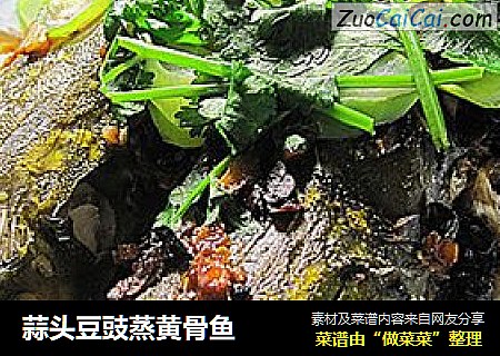 蒜头豆豉蒸黄骨鱼