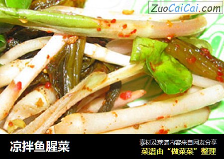 凉拌鱼腥菜