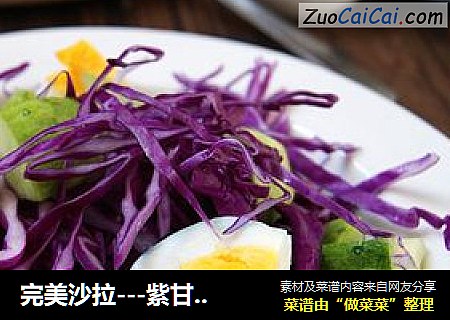 完美沙拉---紫甘蓝沙拉