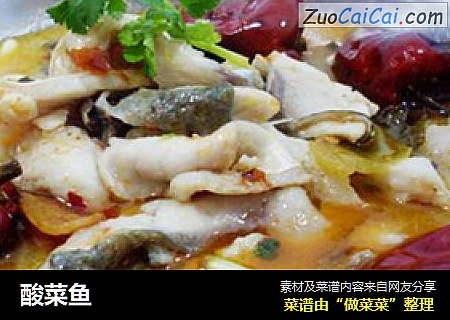 酸菜鱼