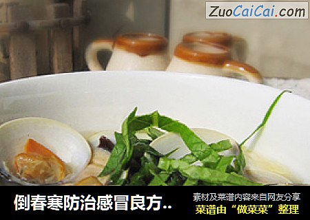倒春寒防治感冒良方——海鲜酸辣汤