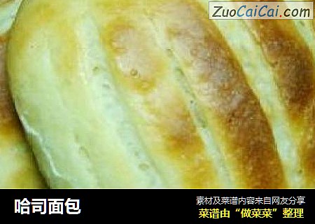 哈司面包