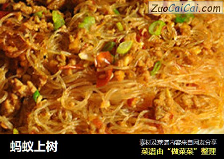 蚂蚁上树