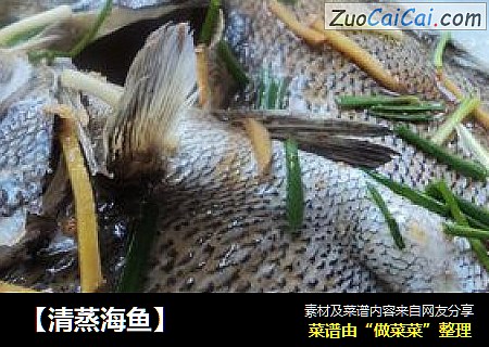 【清蒸海鱼】
