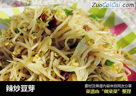辣炒豆芽
