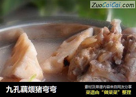 九孔藕煨猪弯弯