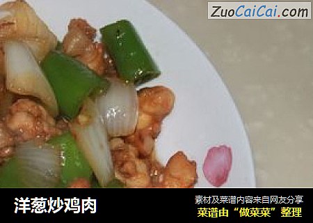 洋葱炒鸡肉