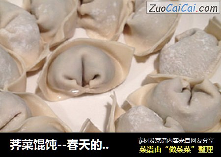 荠菜馄饨--春天的印证