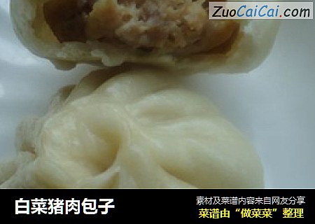 白菜猪肉包子