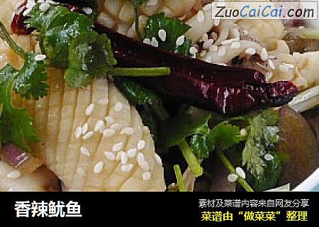 香辣鱿鱼