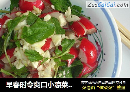 早春时令爽口小凉菜之——芥香脆口樱桃萝卜