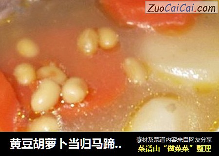 黄豆胡萝卜当归马蹄猪骨汤