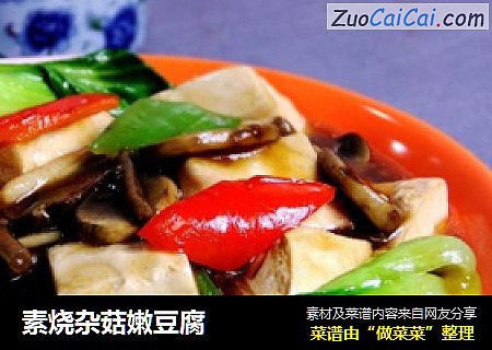 素烧杂菇嫩豆腐