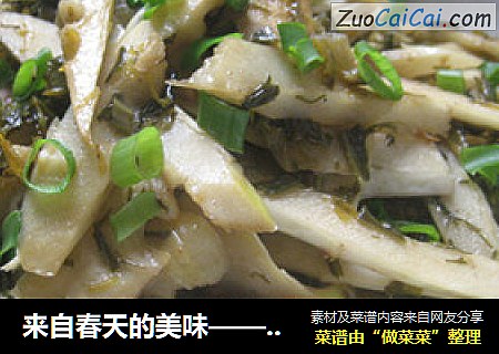 来自春天的美味——家常酸菜竹笋