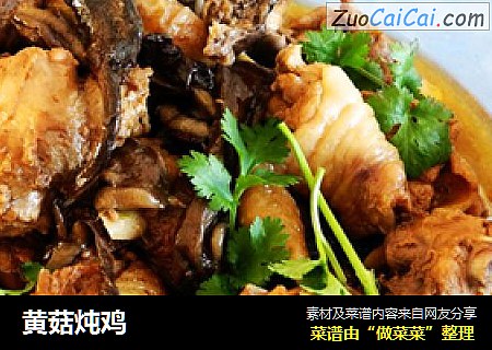 黄菇炖鸡