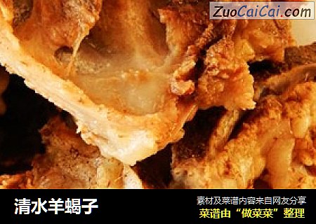 清水羊蝎子