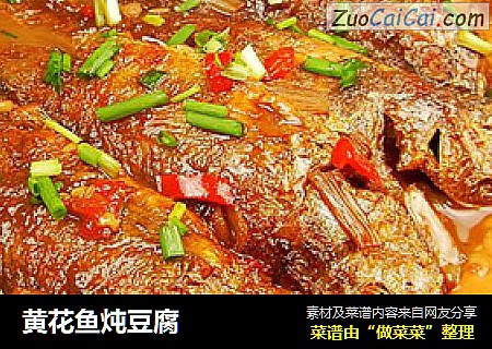 黄花鱼炖豆腐