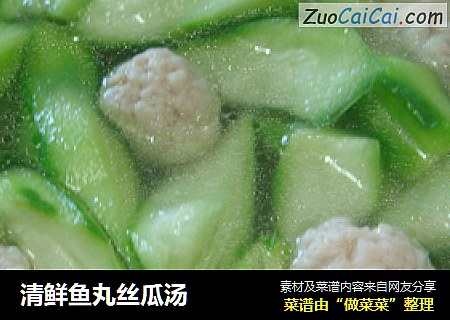 清鲜鱼丸丝瓜汤