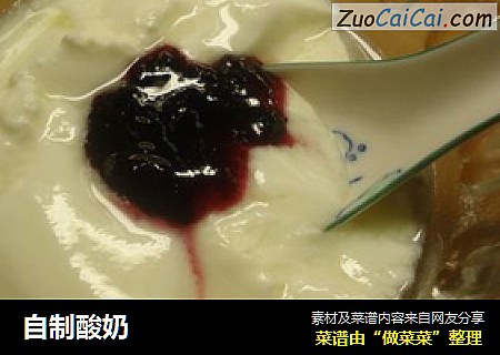 自制酸奶