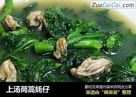 上汤茼蒿蚝仔