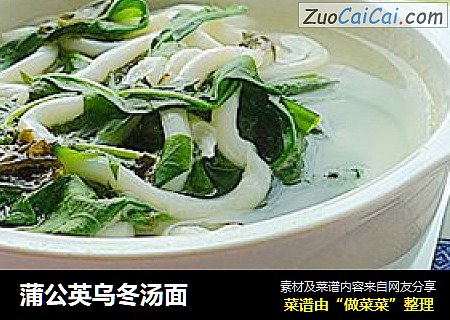 蒲公英乌冬汤面
