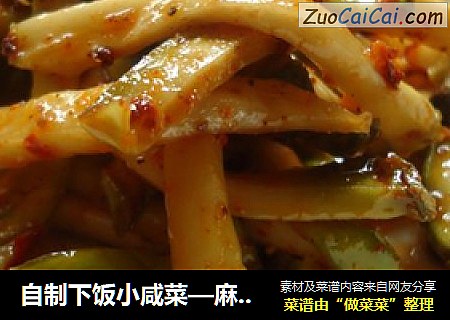 自制下饭小咸菜—麻辣冲菜