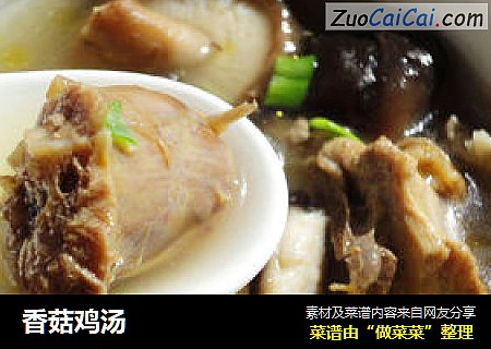 香菇鸡汤