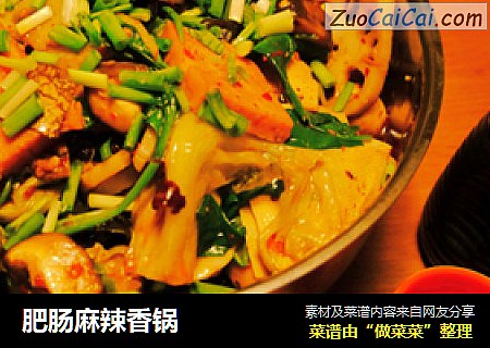 肥肠麻辣香锅