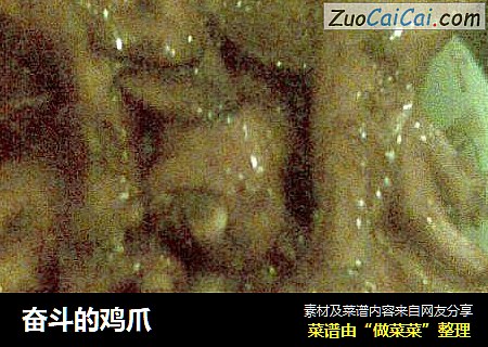 奋斗的鸡爪