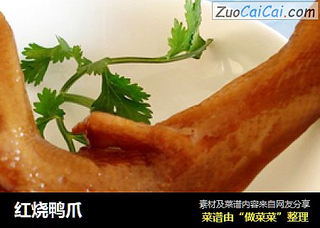 红烧鸭爪