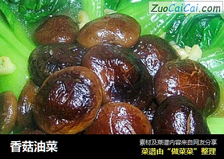 香菇油菜