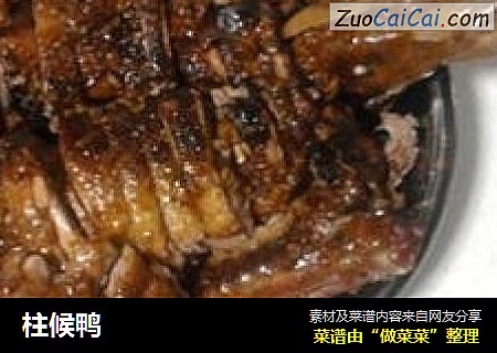 柱候鸭