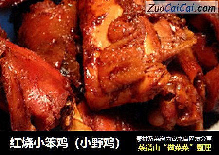红烧小笨鸡（小野鸡）