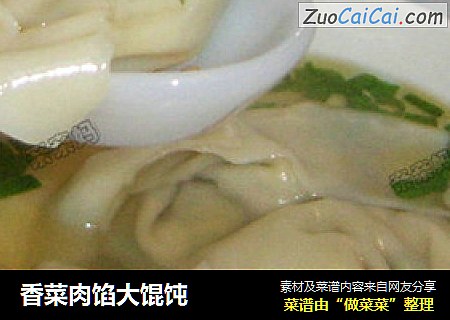 香菜肉馅大馄饨