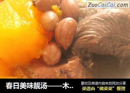 春日美味靓汤——木瓜花生骨头汤