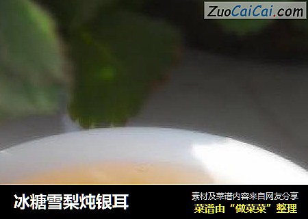 冰糖雪梨炖银耳