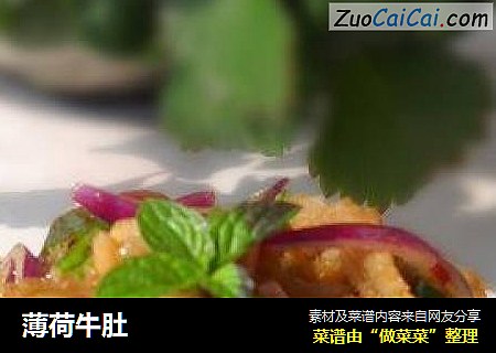 薄荷牛肚
