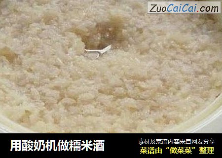 用酸奶机做糥米酒