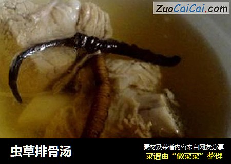虫草排骨汤